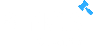 BINCA Logo